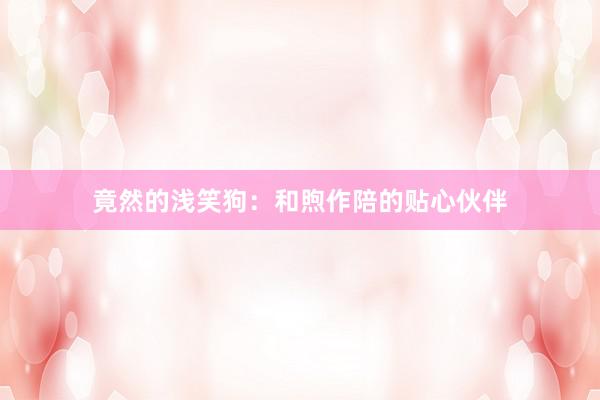 竟然的浅笑狗：和煦作陪的贴心伙伴
