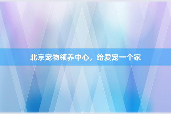 北京宠物领养中心，给爱宠一个家