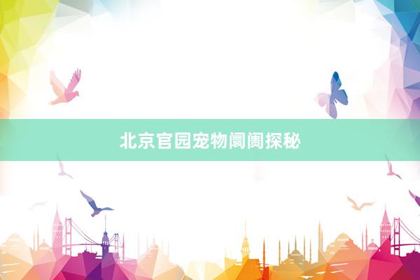 北京官园宠物阛阓探秘