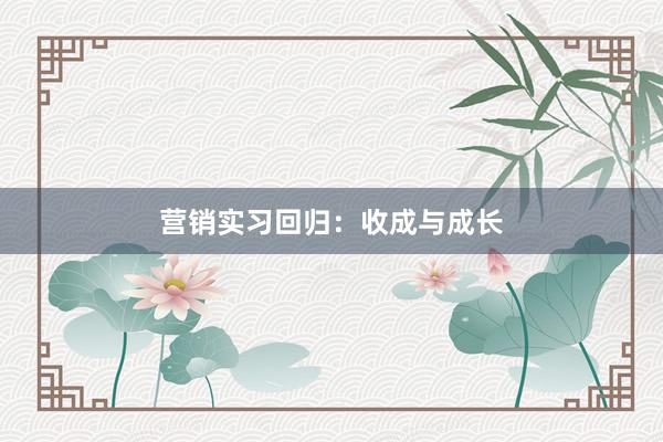 营销实习回归：收成与成长